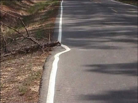 I would've done the same thing.