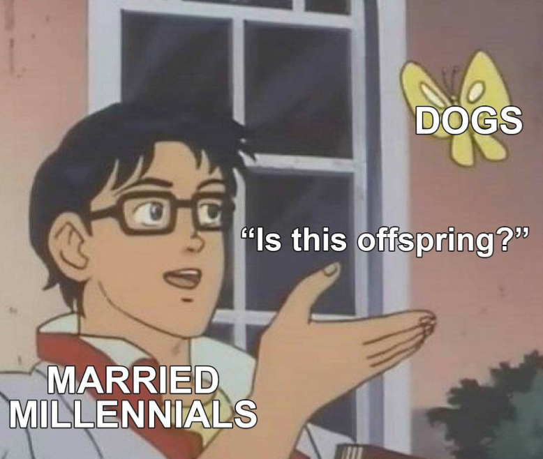 Goes for cats too