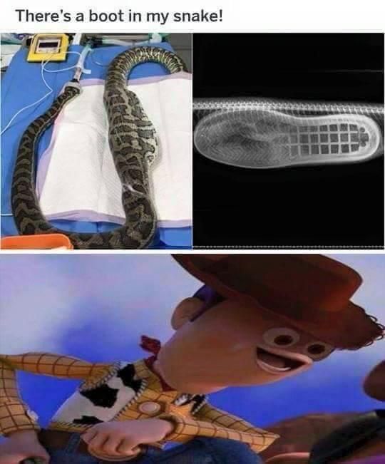 There’s a snake in my boot!