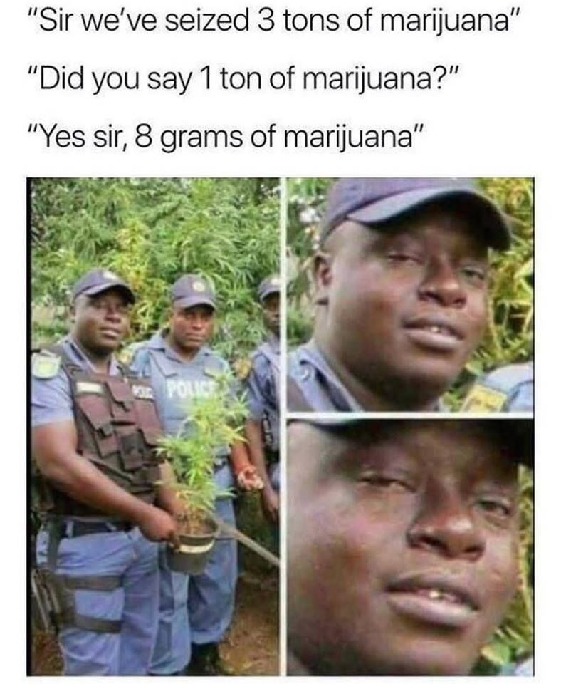 no marijuana