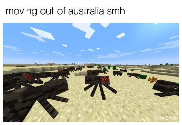 Aussies