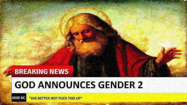 Gender 2