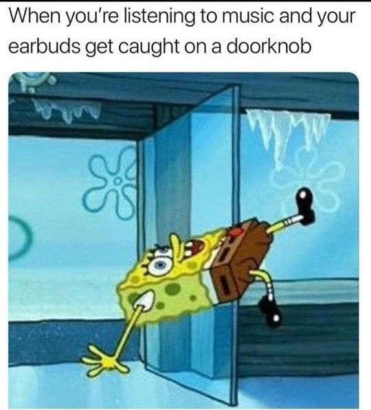 Bob the Spongeboi