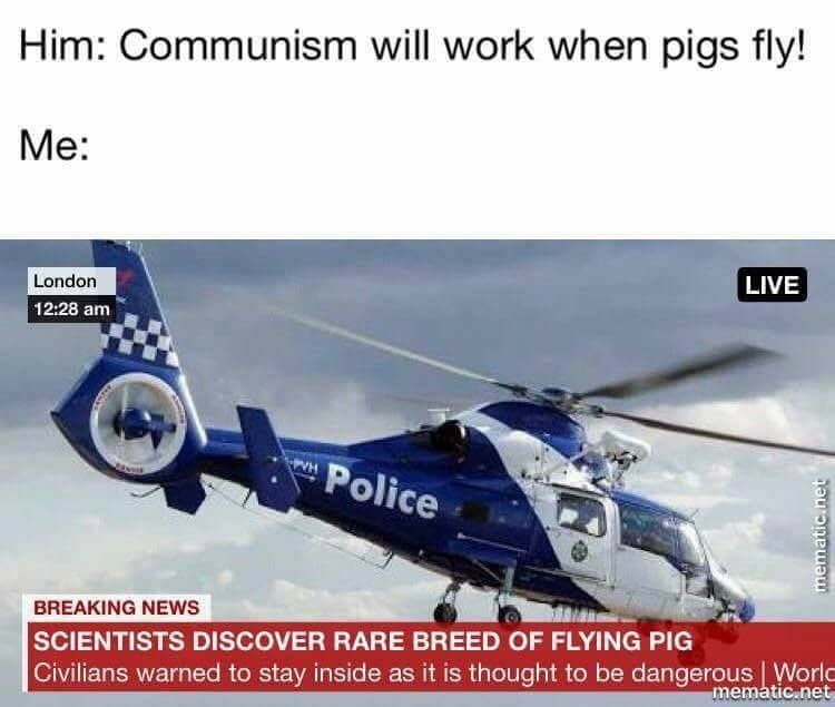 oink oink, motherfuсkers