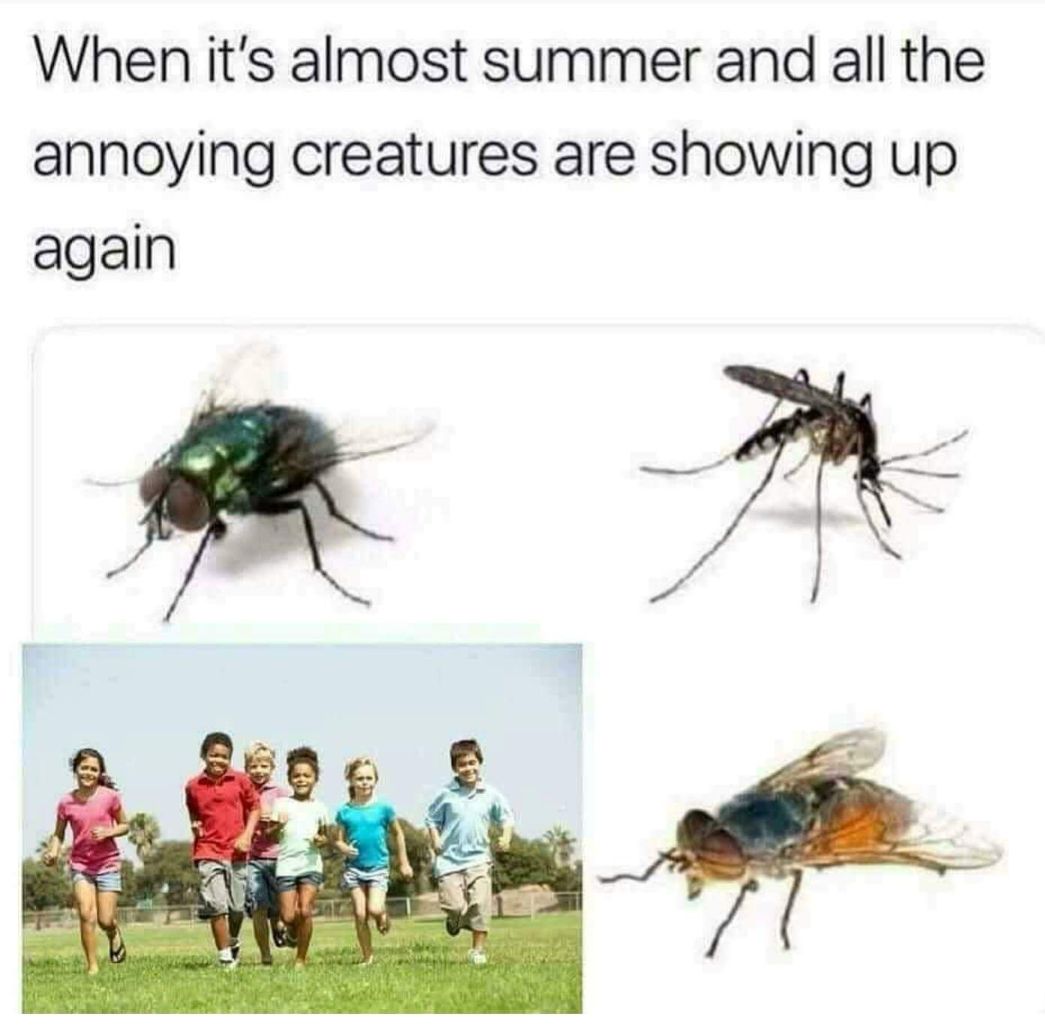 Damn summer