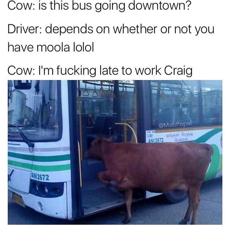 Don’t be an ***, Craig.