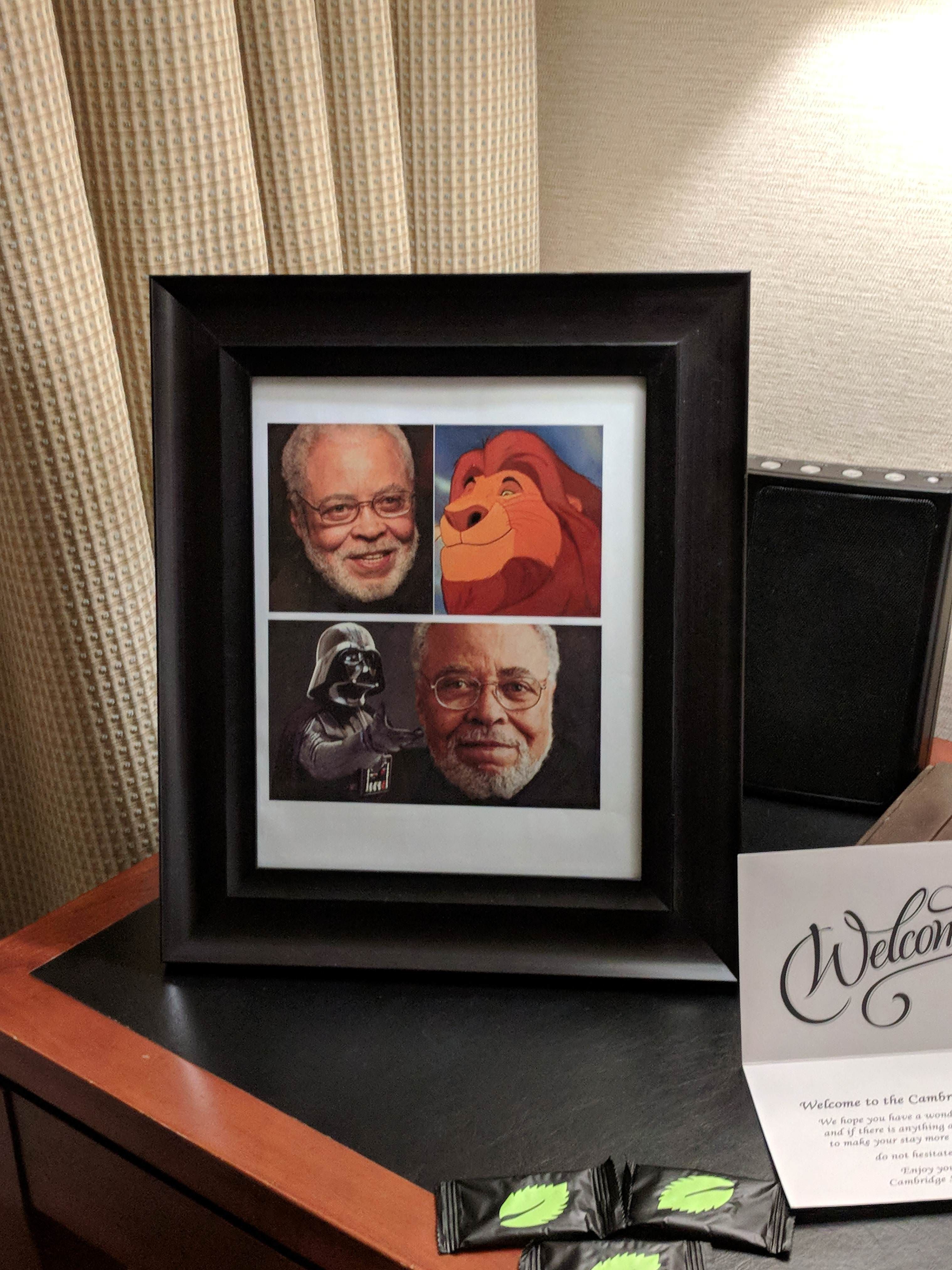 Requested a photo of James Earl Jones for my hotel room. 5 star customer service