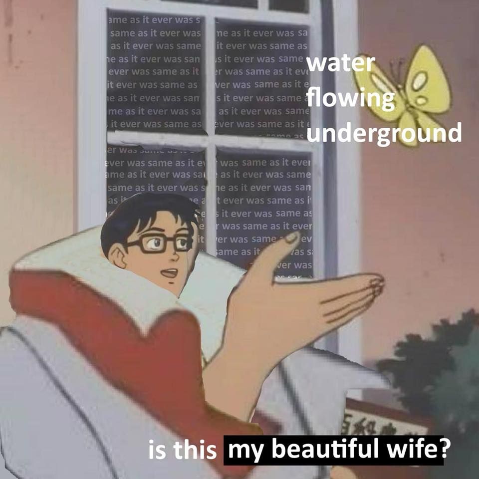 once in a lifetime