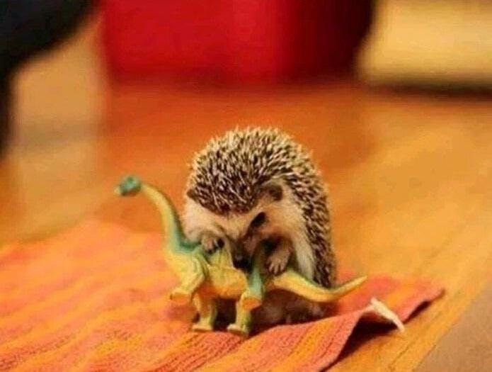 That's how Dinosaurs really Died Out