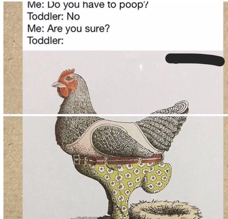 Do you have to poop?