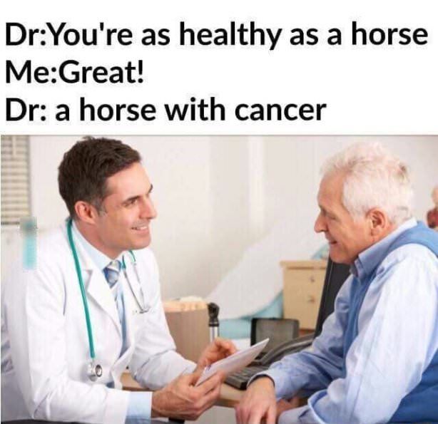 Healthy as a horse!!!