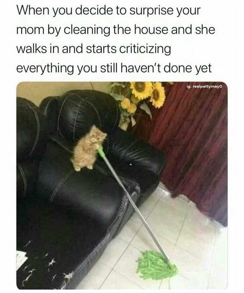 No respect in this damn house