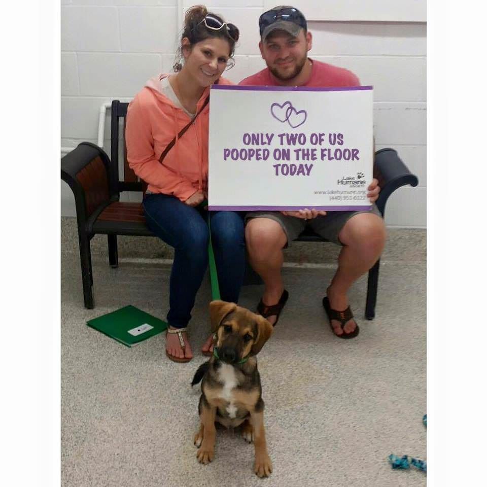 My sister and her husband adopted a puppy. The humane society sure gives out weird signs to celebrate it.