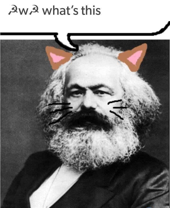 OwO