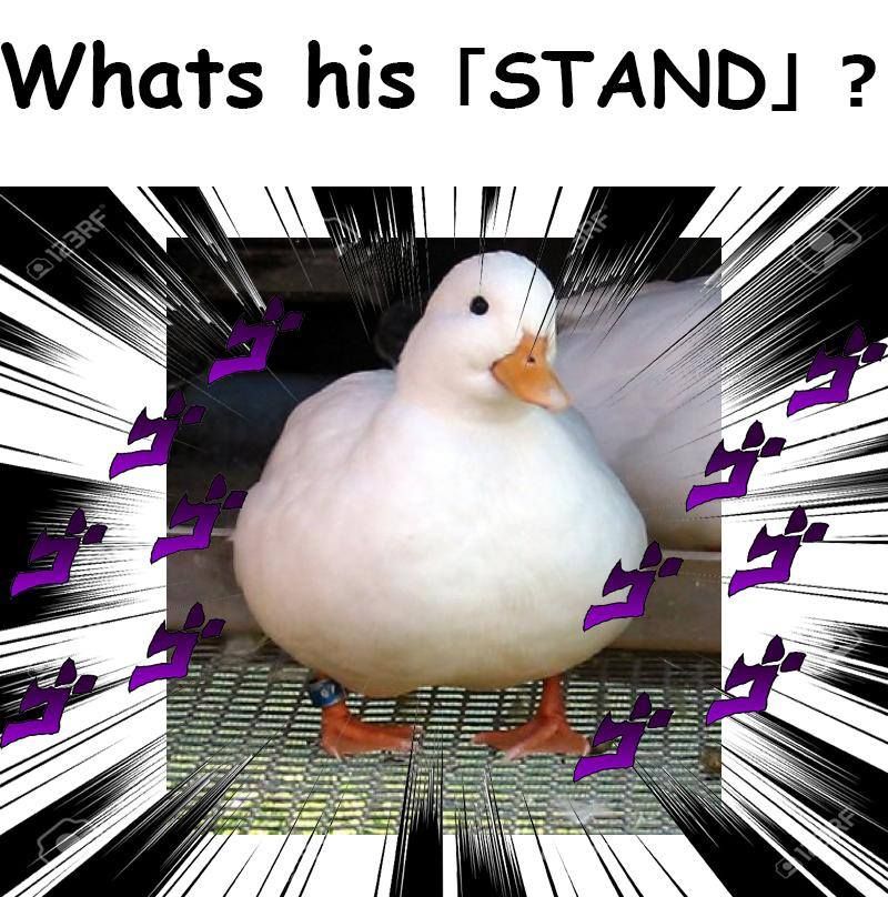 STANDO!