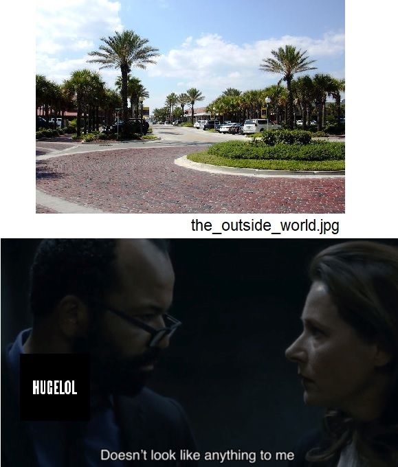 the sacrifices a memelord has to make (hsc2018)