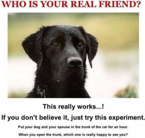 Who is your real friend