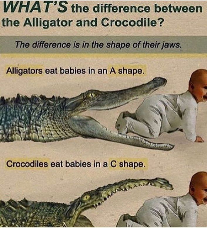 what