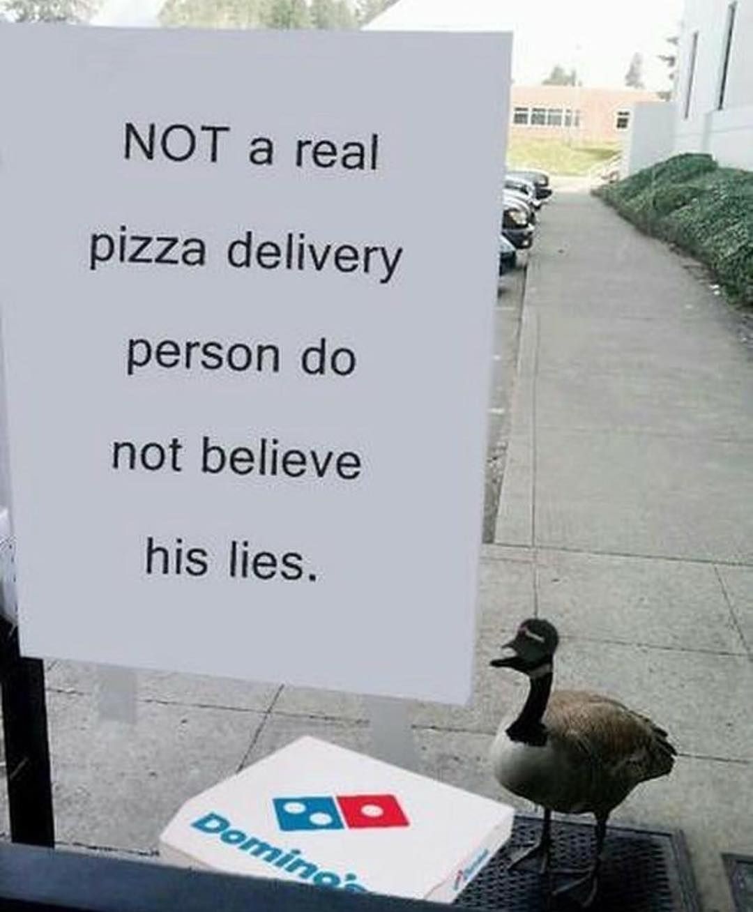 looks trustworthy though