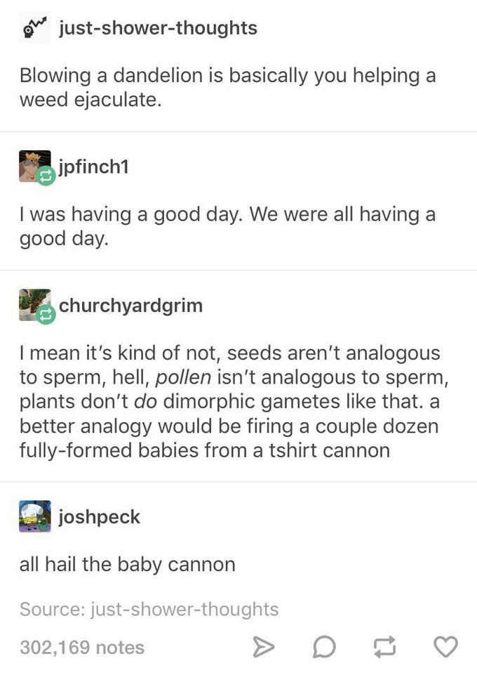Flowers are confirmed for big gay