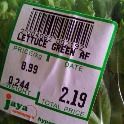 How green is the lettuce?