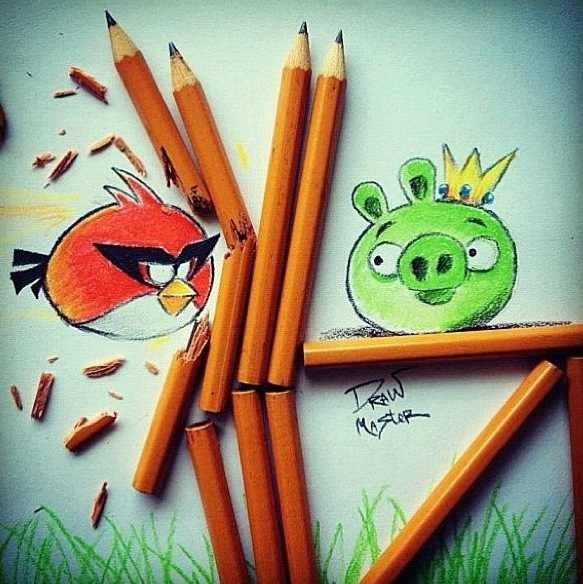 Angry birds IRL