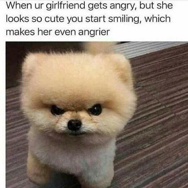 You have a cute girlfriend that gets angry