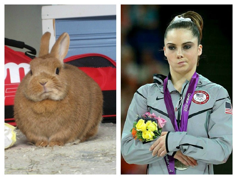 Not impressed McKaylaâ€™s equally unimpressed bunny