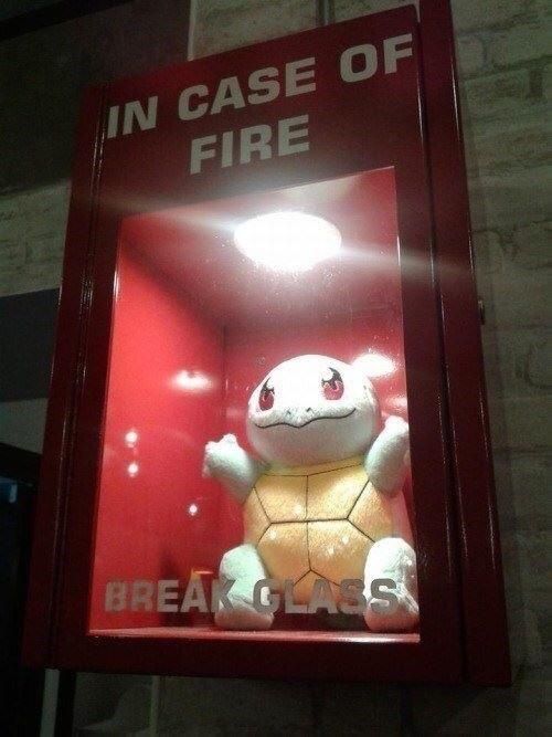 Squirtle for the rescue