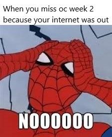 I wasn't going to win anyway
