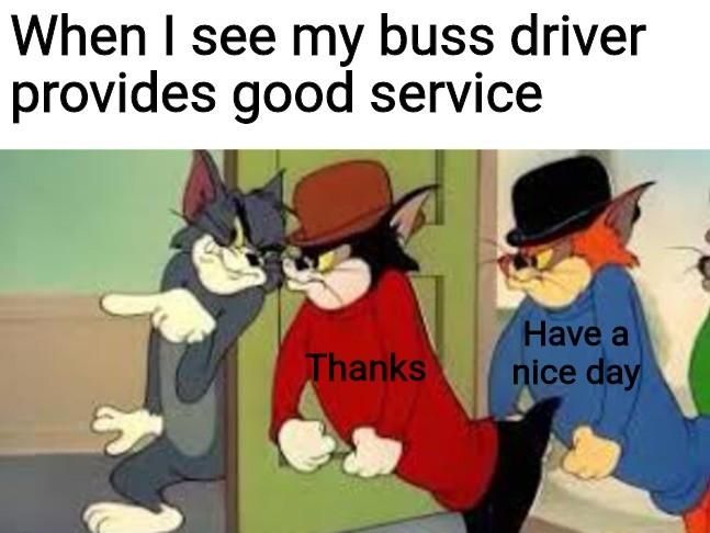 pew pew