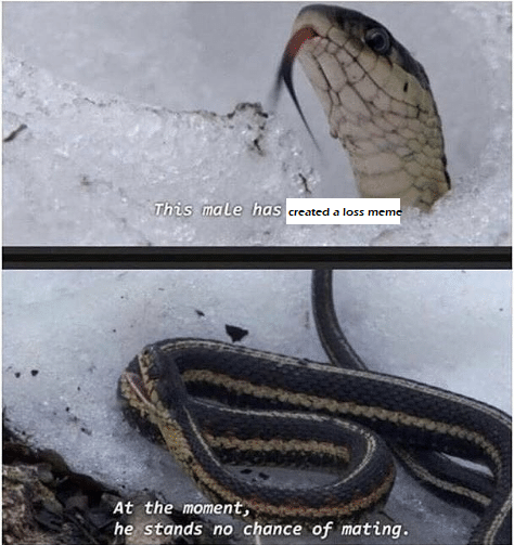 no chance