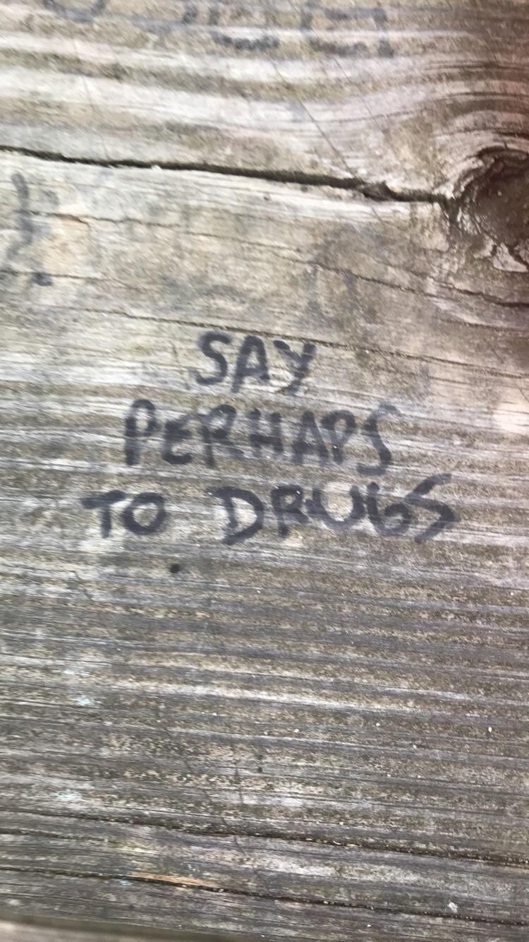 Found this a park bench near my house