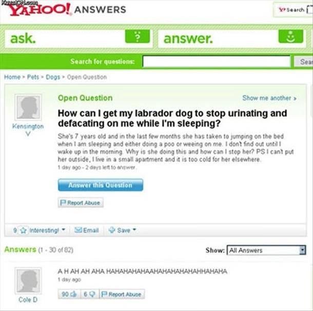 Is a dog really a man's best friend?