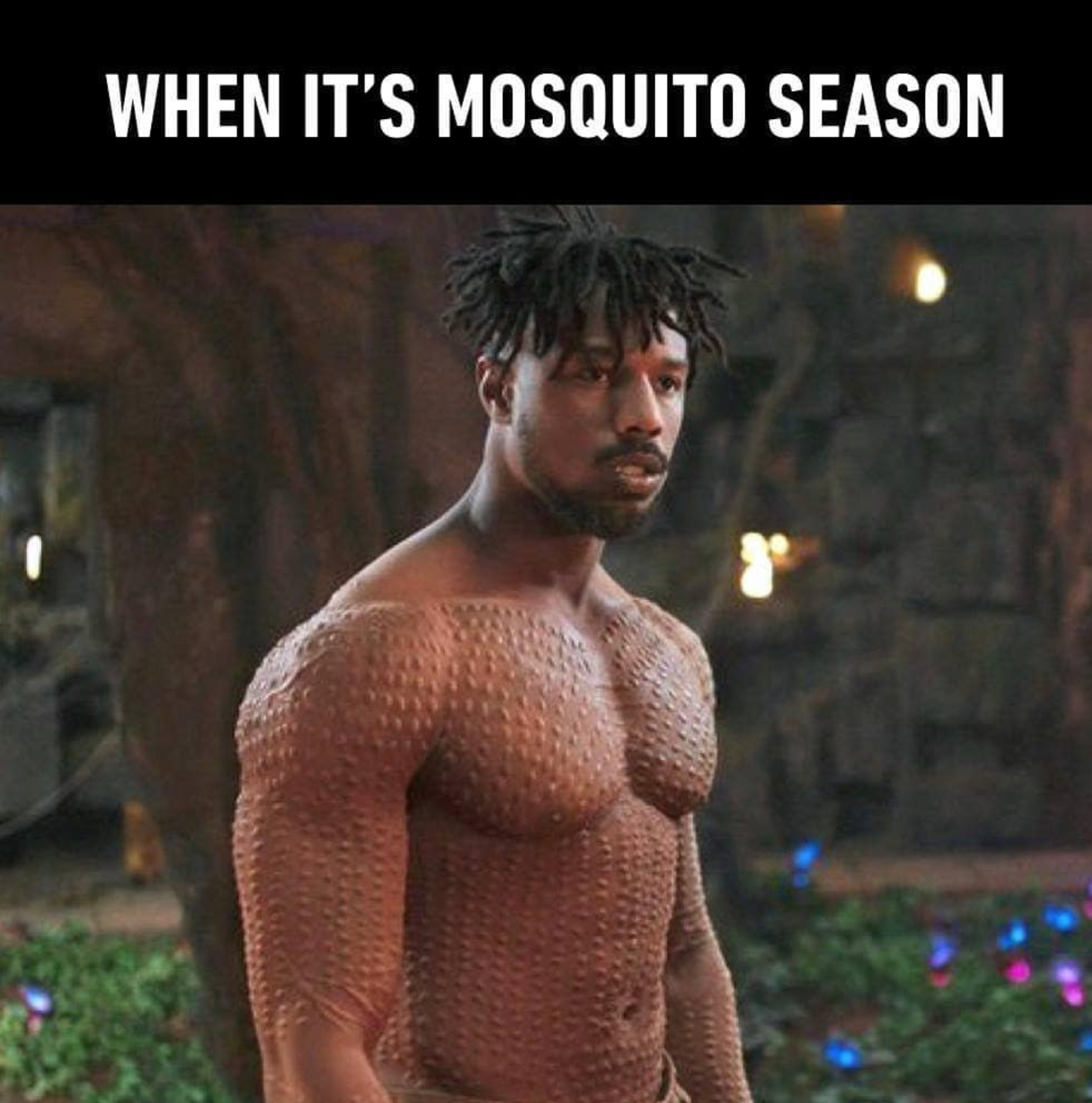 When mosquito season starts