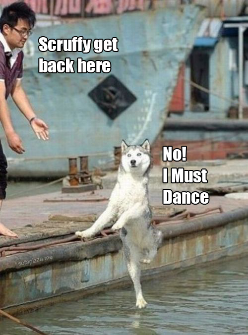 And if they don't dance then they're no friends of mine...