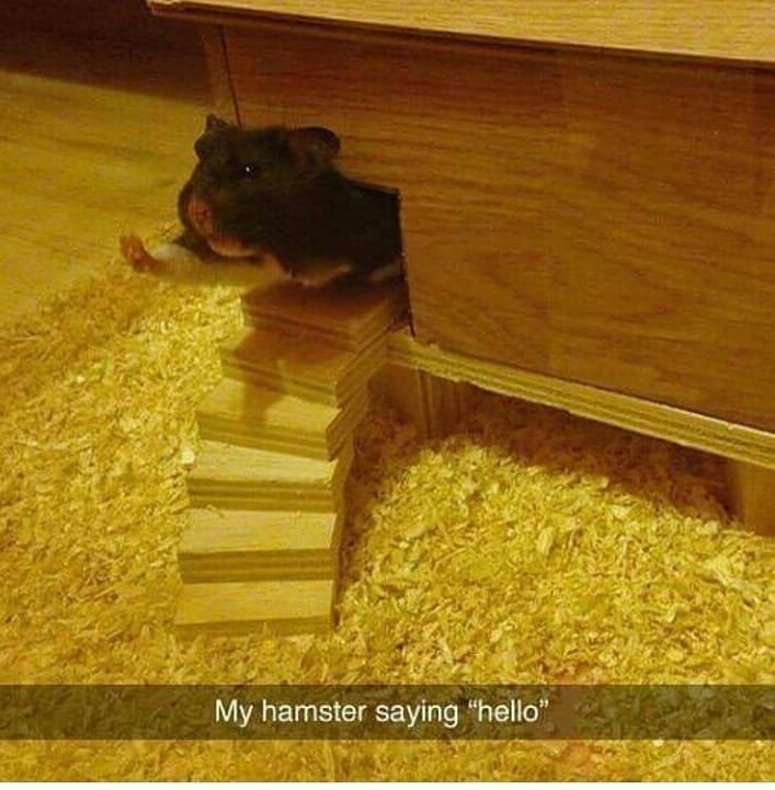 sieg heil