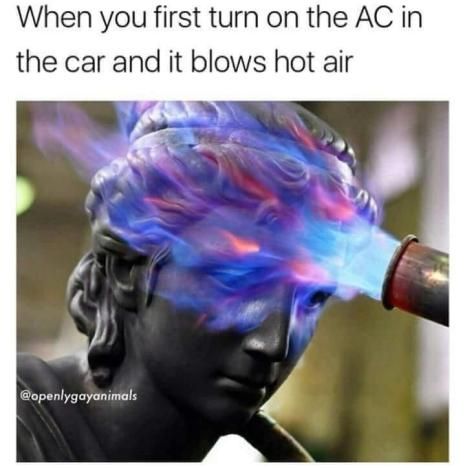 :( :( facts