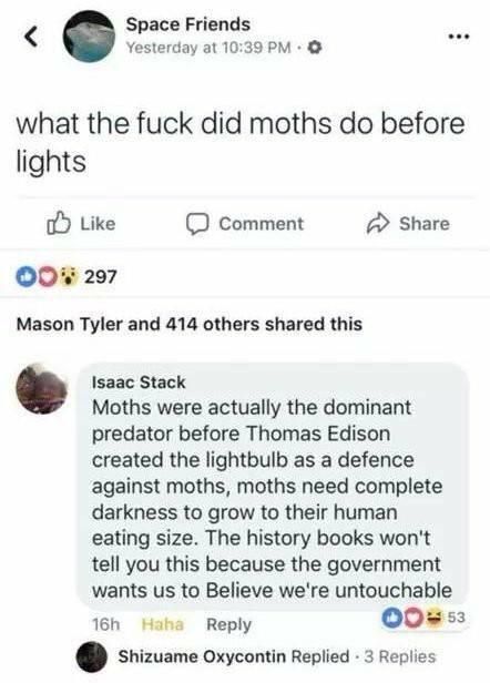 Moths were once the dominant predators.