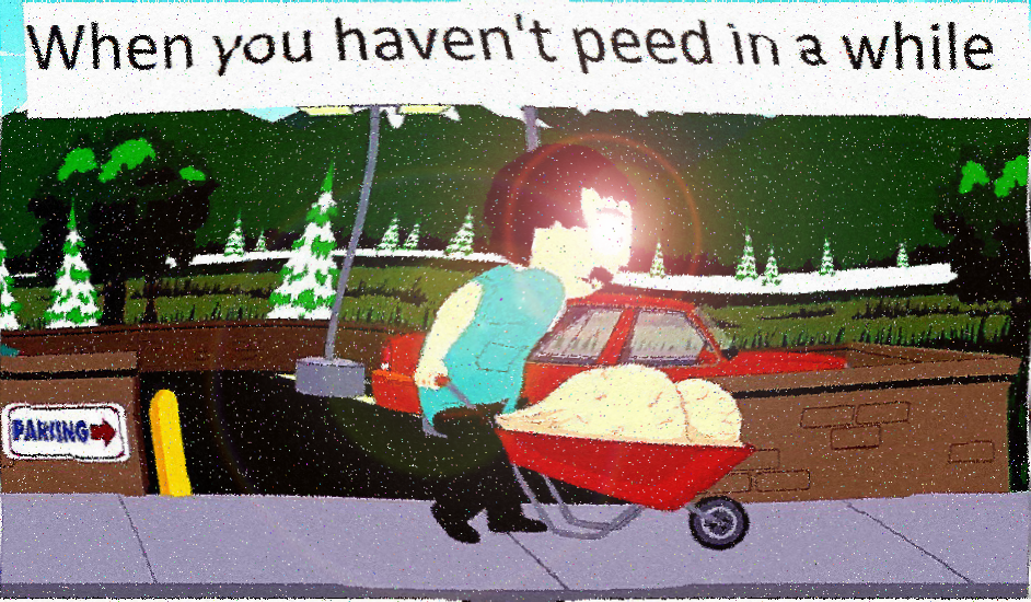 pee is stored in the