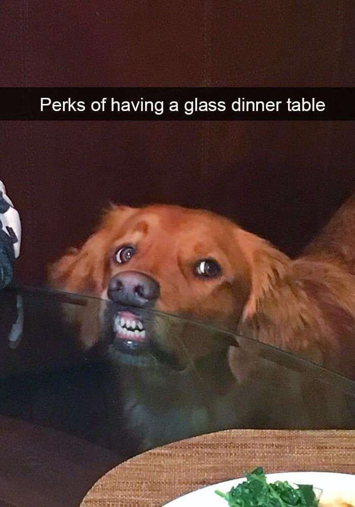 Perks of having a glass dinner table