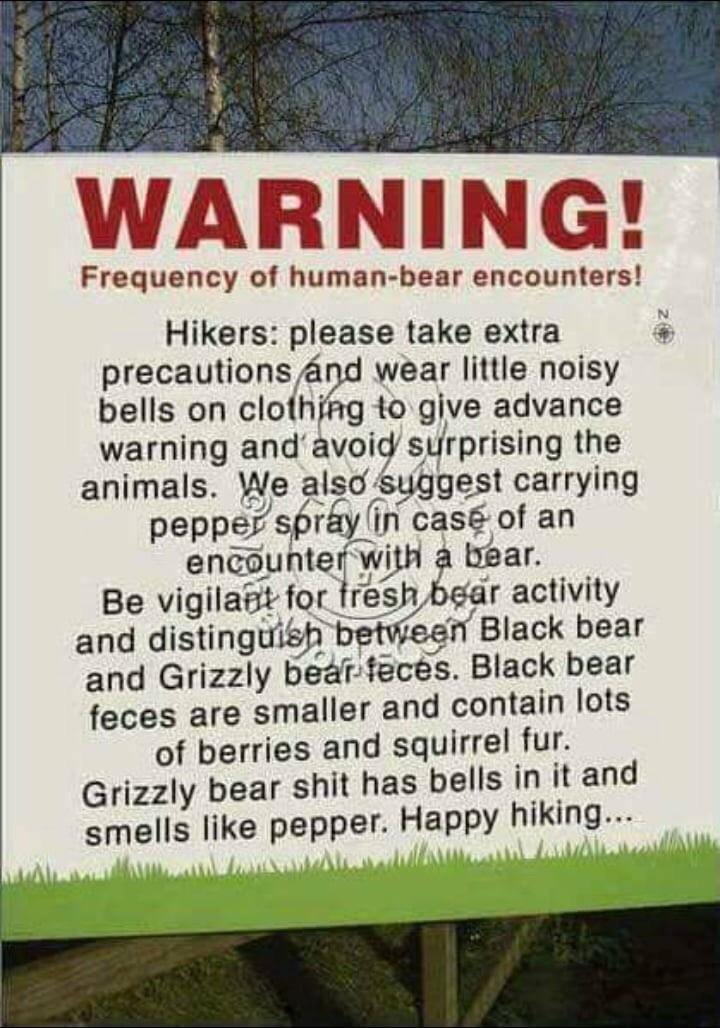 DONT FEED THE BEARS!