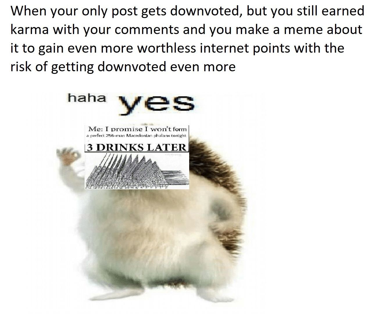Plz no d0wnvote