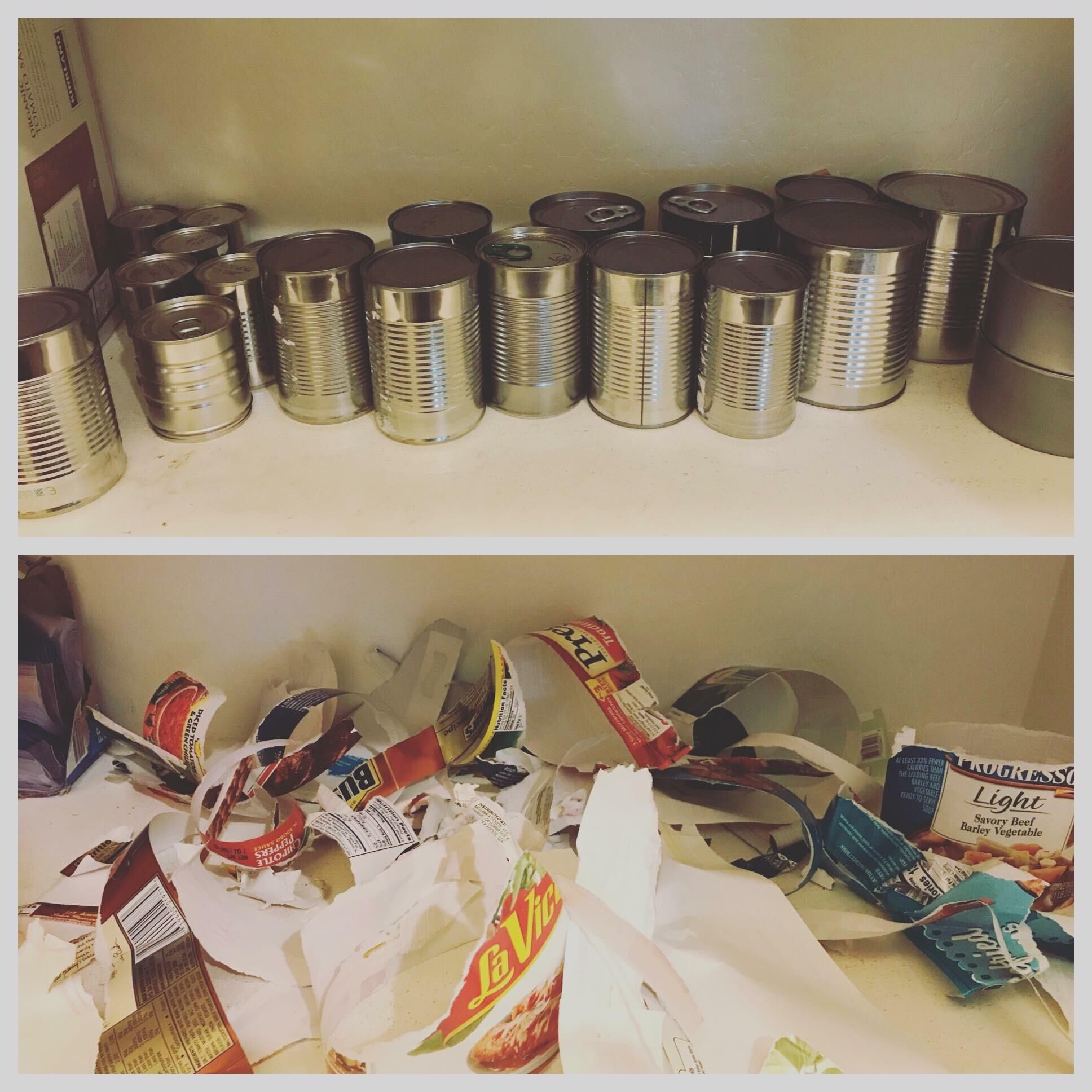 My friend’s kid did this to their pantry