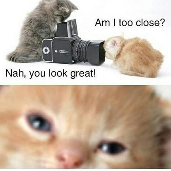 wonderful