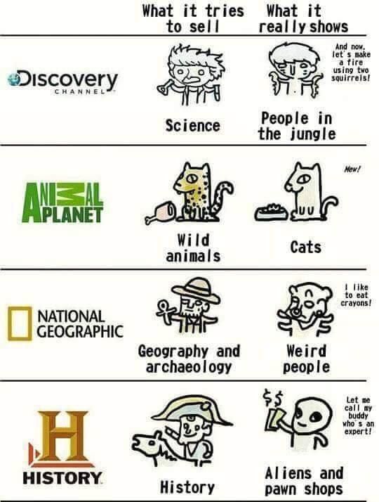 What about discovery kids?