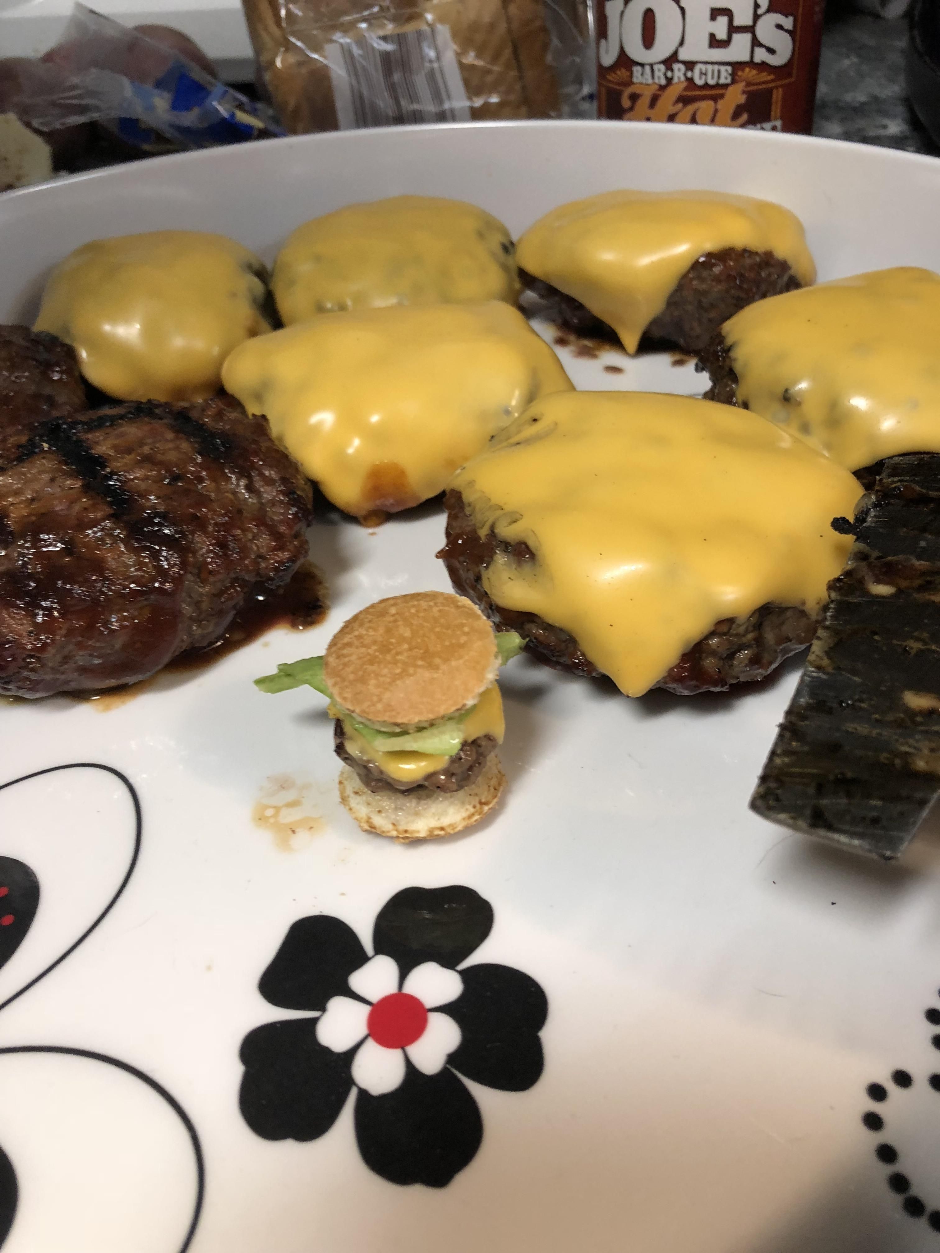 My daughter wanted me to grill a cheeseburger for our small dog.