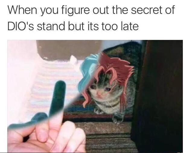 rip