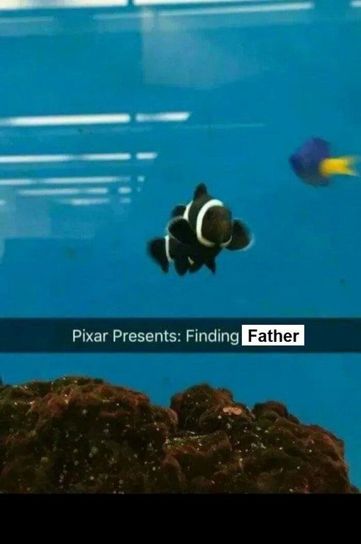 finding