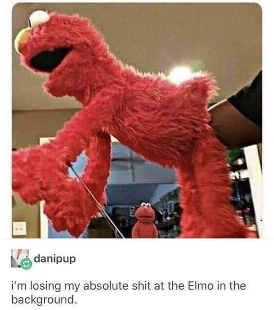 Elmo knows whats up